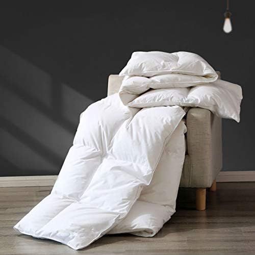 APSMILE Premium All Seasons Goose Down Comforter Full/Queen - 100% Organic Cotton, 45 Oz 650FP Me... | Amazon (US)