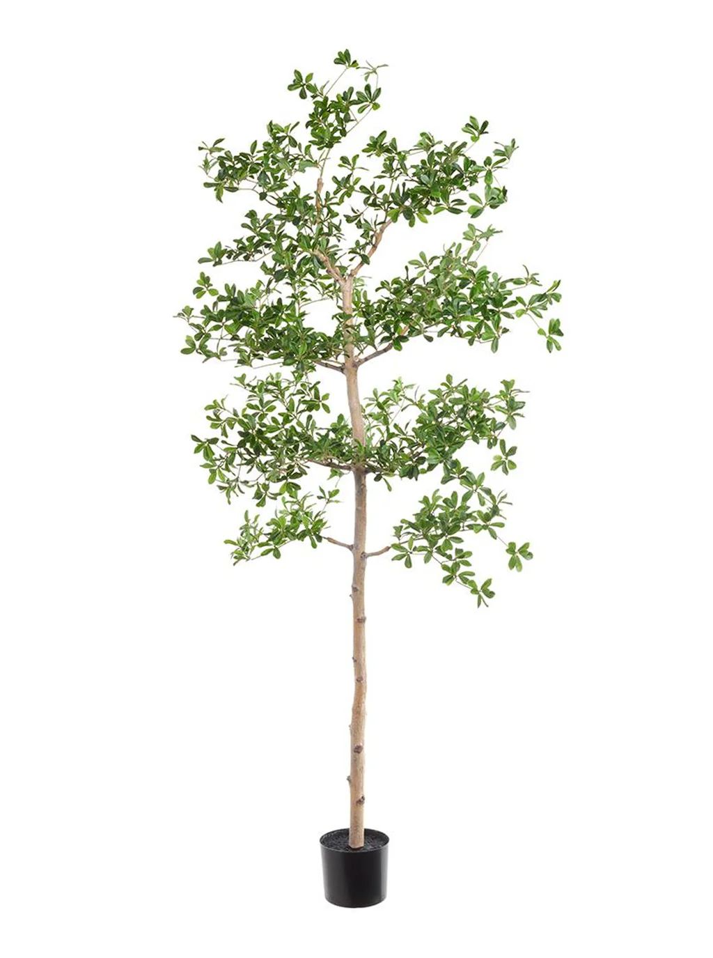 Faux Shady Lady Tree | House of Jade Home