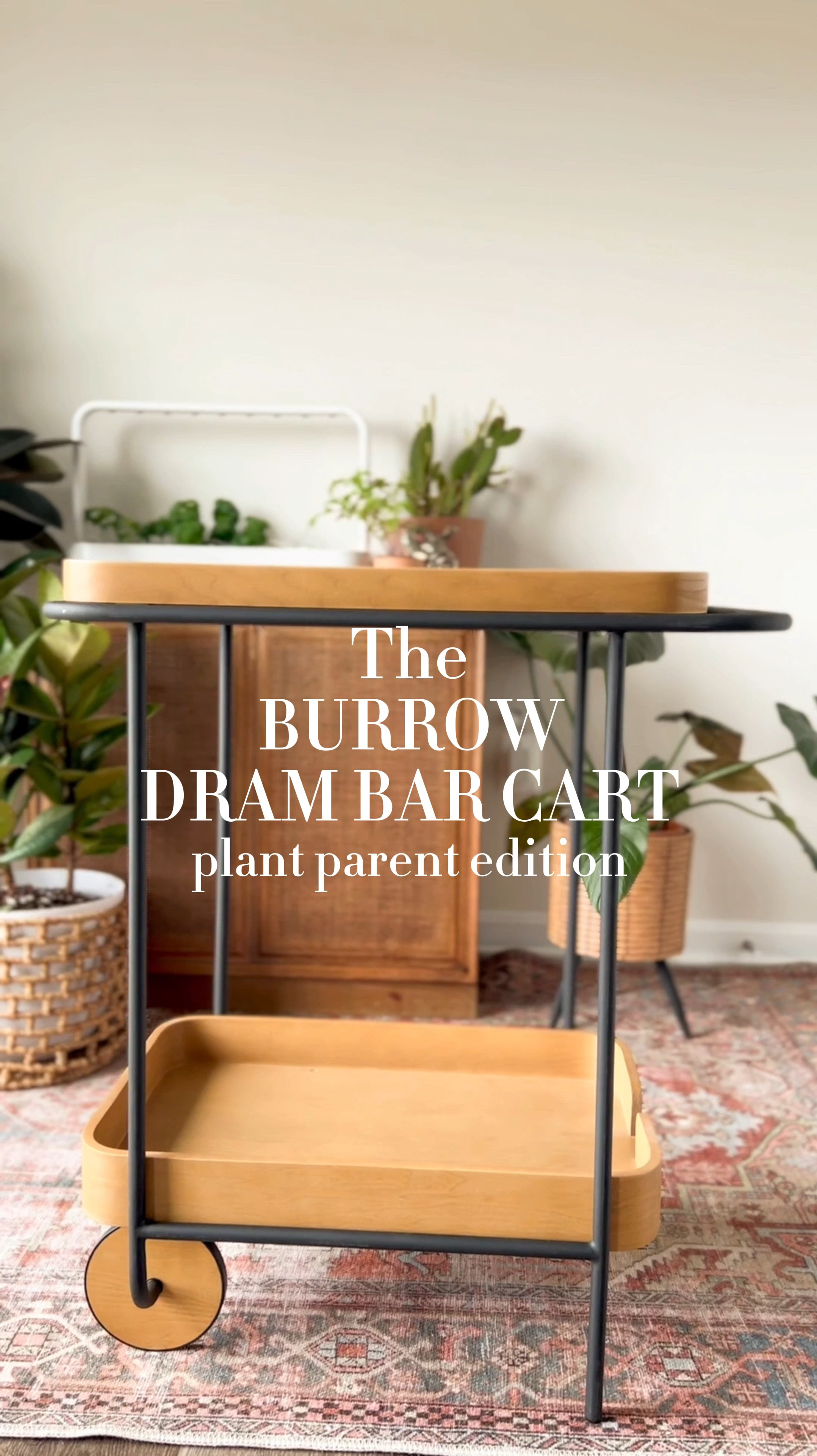 Loving this bar cart & how versatile it is!! It’s mid century modern design is stunning and it’s super easy to put together!

#LTKsalealert #LTKhome