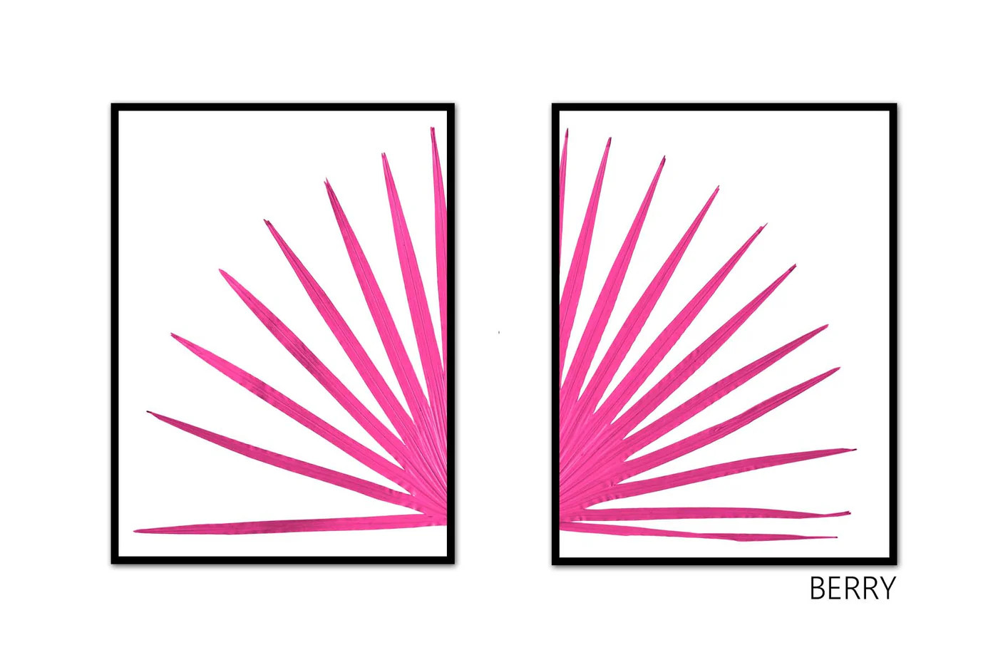 Palm Fan Print Pair | Coastal Botanical Art Prints | Palm Wall Art | Urban Garden Prints