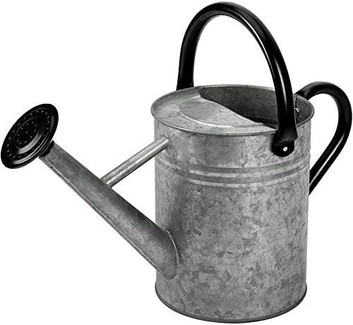 Cesun Metal Watering Can Galvanized Steel Watering Pot with Removable Spray Spout, Movable Upper ... | Amazon (US)