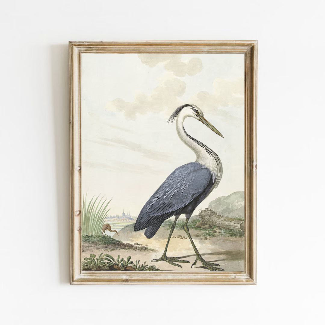 Vintage Bird Painting, Blue Heron Print, Coastal Decor, Antique Bird Painting, Bird Lover Gift, B... | Etsy (US)