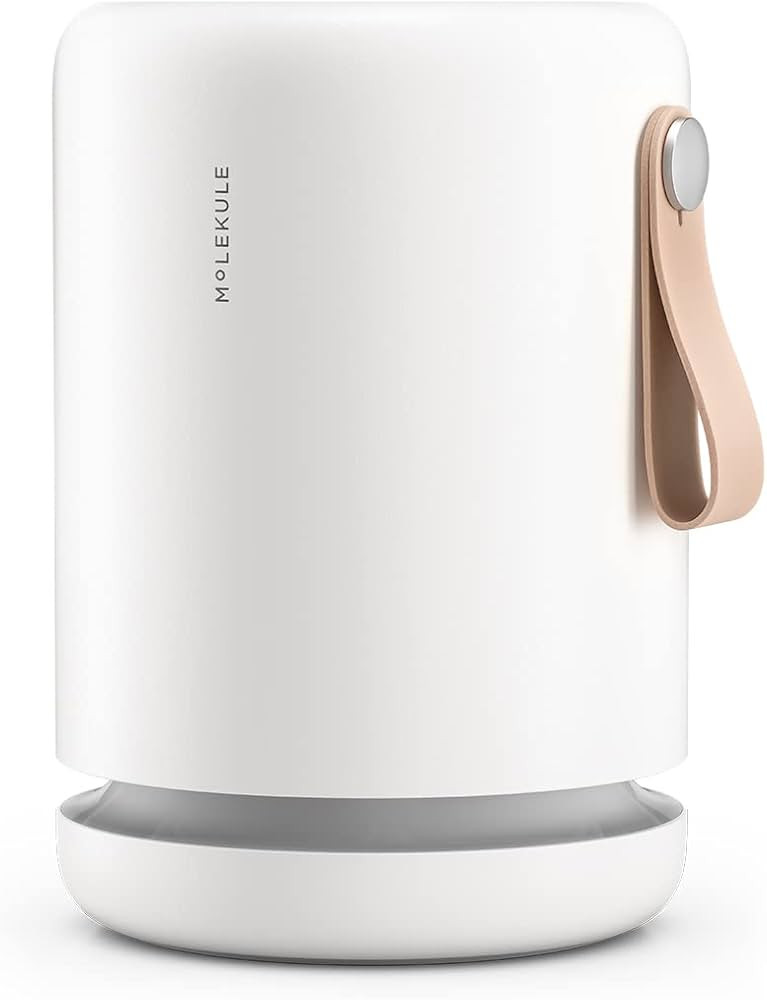 Molekule Air Mini+ FDA-Cleared Medical Air Purifier with Particle Sensor and PECO Technology for ... | Amazon (US)