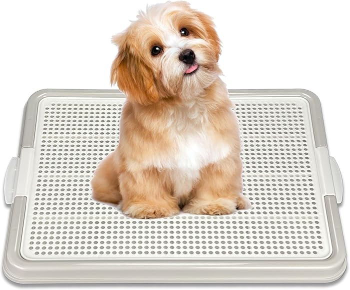 Dog Pee Pad Holder, Puppy Potty Training Tray 22.5”X16.5” for Small Dogs (Gray) | Amazon (US)