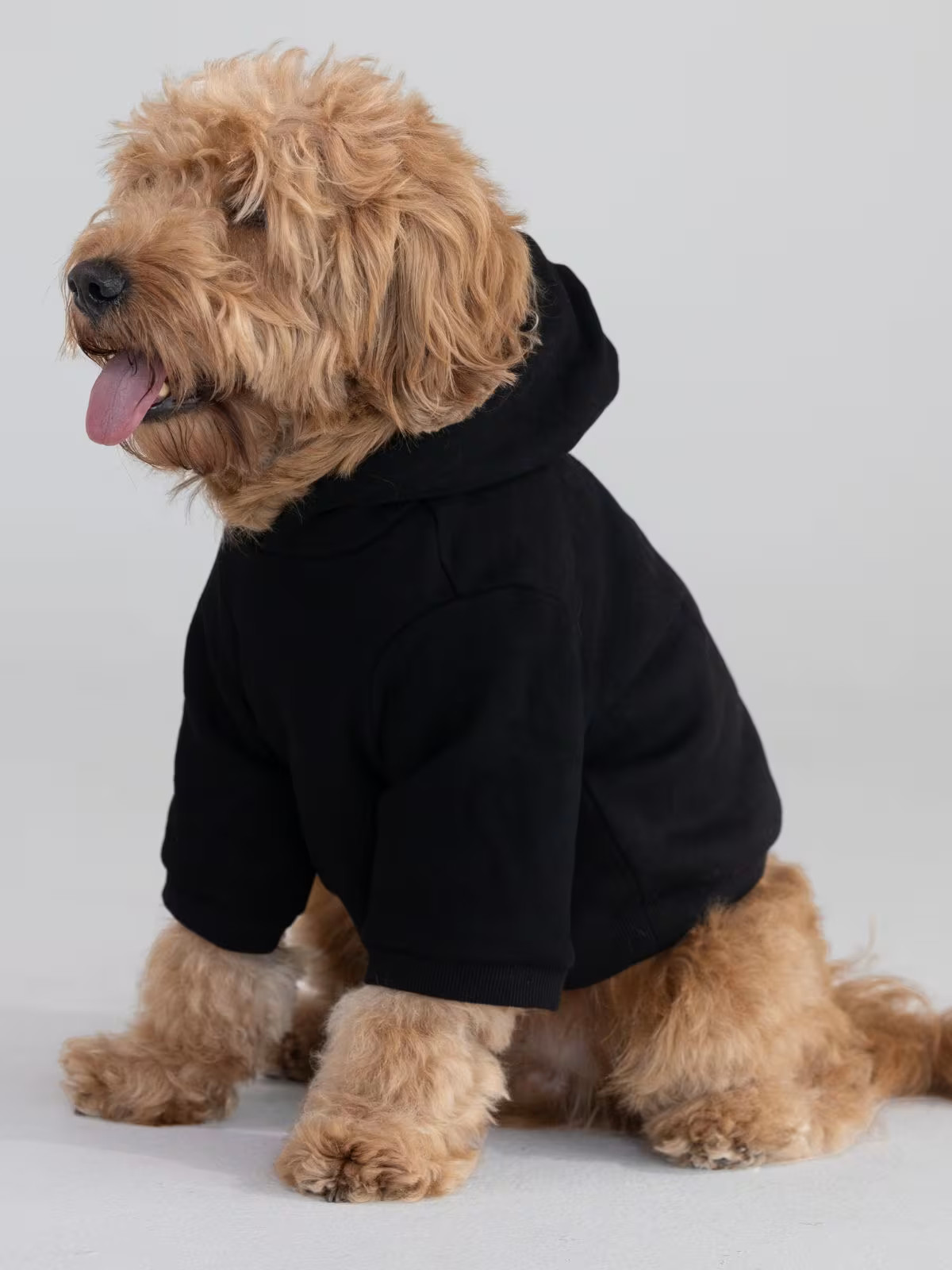 Tranquil Paw Hoodie — Comfrt | Comfrt