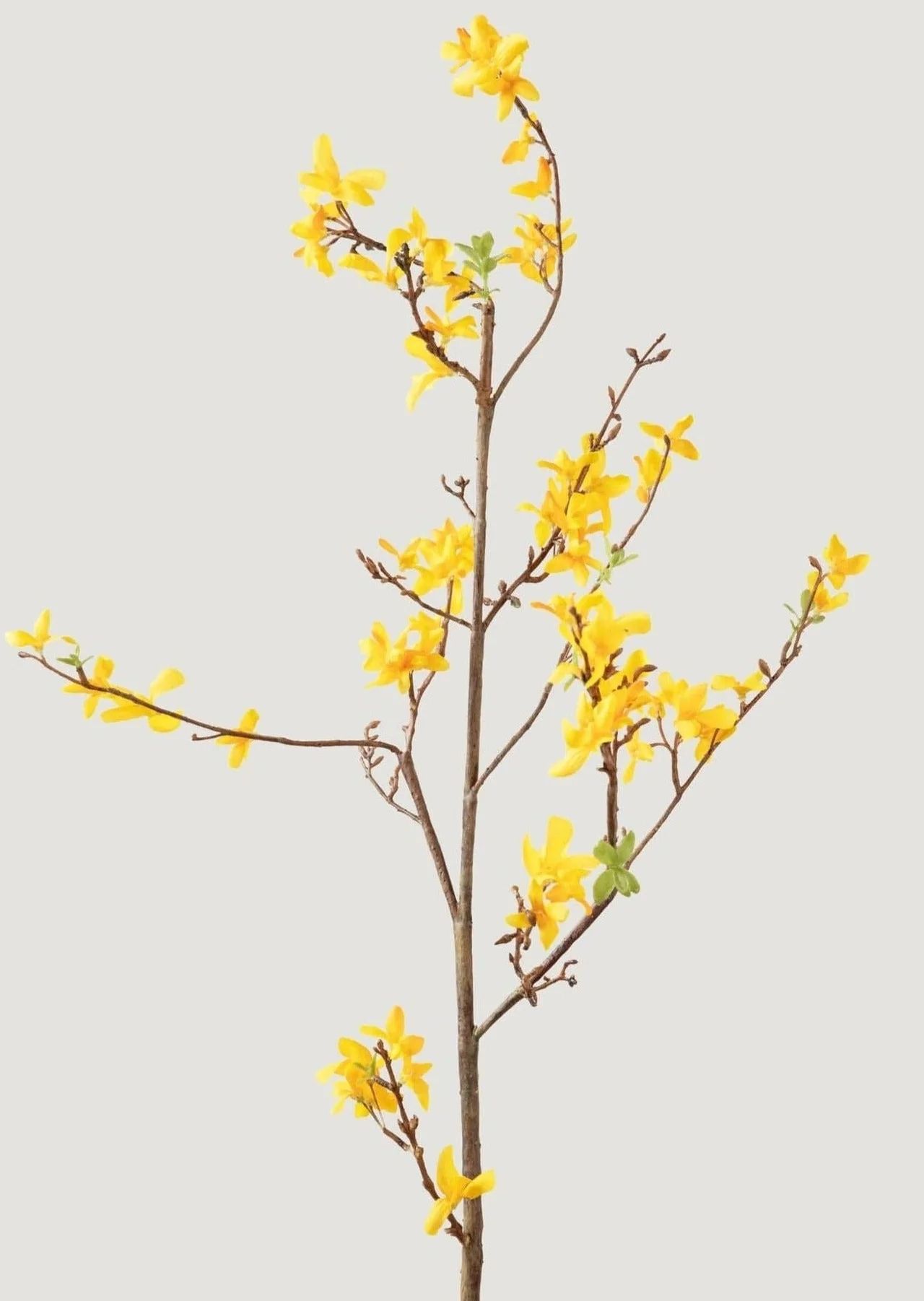 Faux Forsythia Branch in Yellow Gold - 52" | Afloral