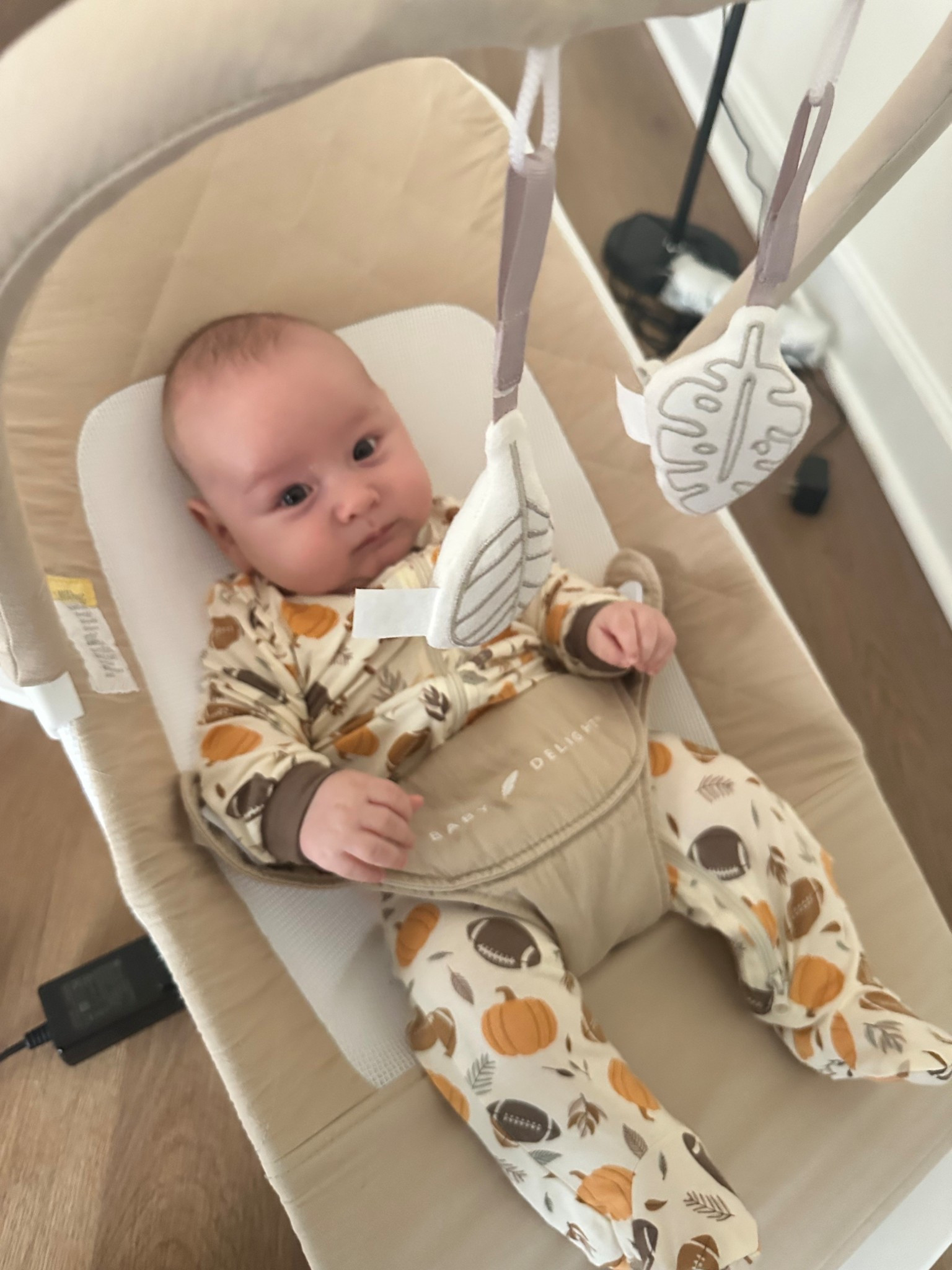 Baby Delight Alpine Deluxe Portable Bouncer
This little seat has quickly become a must-have in our home! 🌿 The Baby Delight Alpine Deluxe Portable Bouncer is perfect for infants 0-6 months, and I love that it’s made with 100% GOTS Certified Organic Cotton fabrics in the prettiest Organic Oat shade.

It’s lightweight and portable, so I can move it around the house while still keeping baby cozy and entertained. The gentle bounce and soft, breathable fabric make it soothing, while the neutral design blends beautifully with any home style. A true blend of functionality and modern simplicity! 🤍

✨ Perfect for: tummy breaks, safe lounging, and giving mama a free hand!

#BabyDelight #BabyGear #NewMomEssentials #OrganicBaby #BabyRegistryMustHave #BouncerChair #MomLife #NurseryFavorites

#LTKKids #LTKFindsUnder100 #LTKBaby