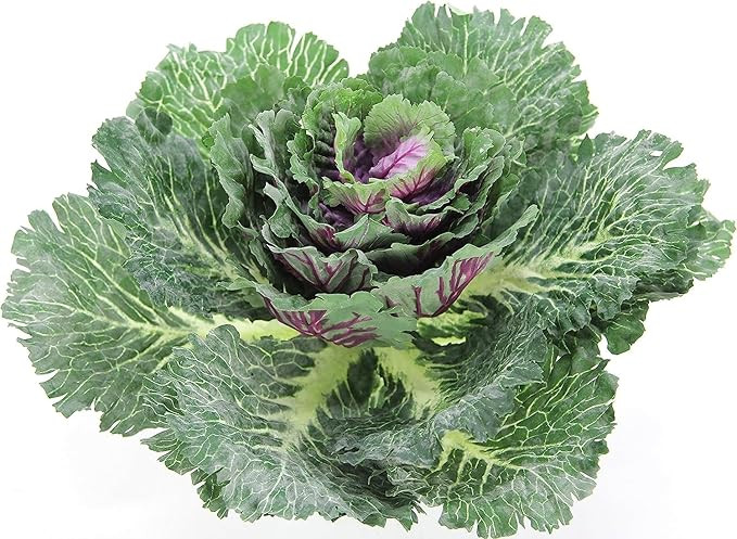 Admired By Nature 1pc Faux Cabbage Artificial Vegetables Realistic Fake Food Plant Props Artifici... | Amazon (US)