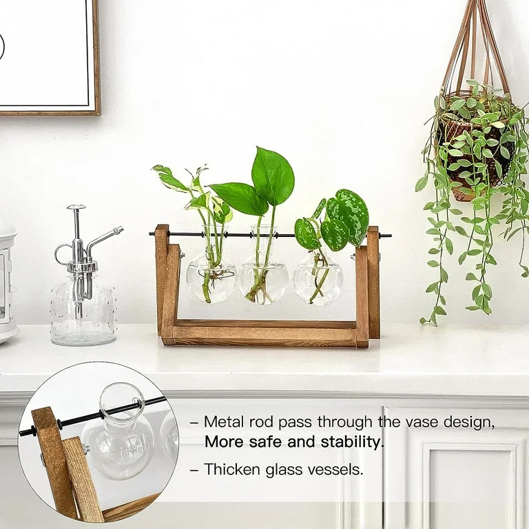 QCQHDU Plant Terrarium with Wooden Stand, Desktop Air Terrarium with Wooden Stand Planters Glass ... | Walmart (US)