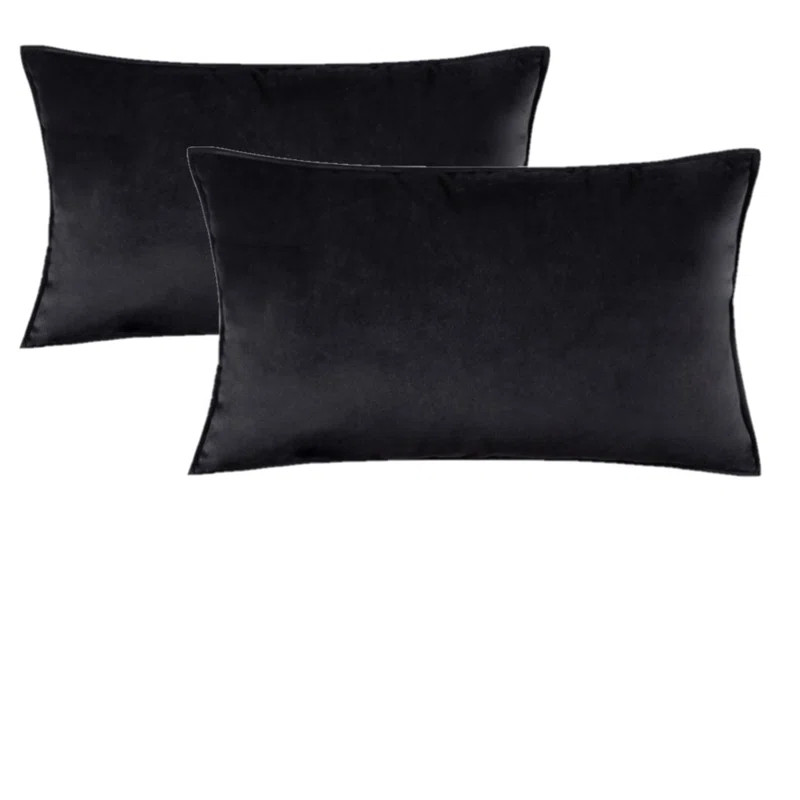 Velvet Pillow Cover (Set of 2) | Wayfair North America