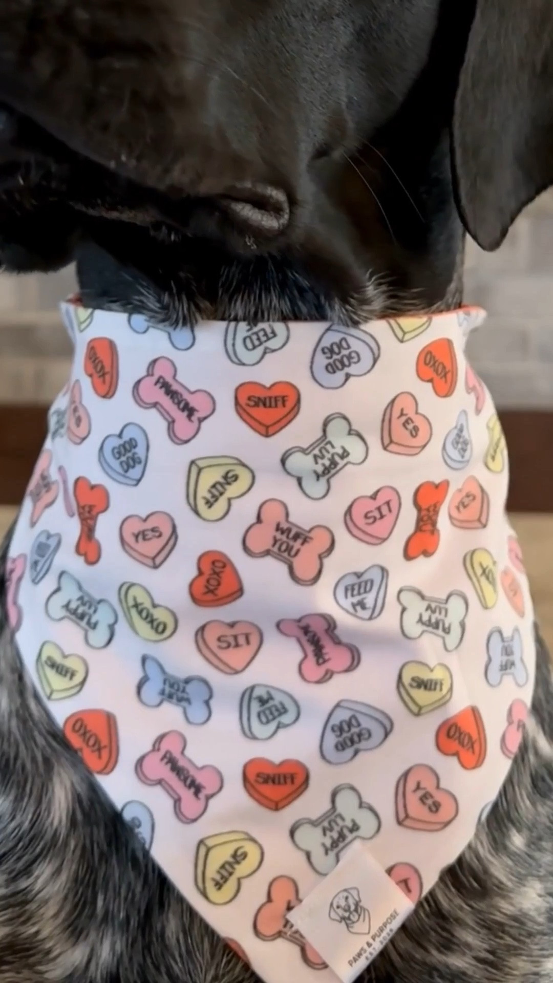 Archie’s Valentine’s Day fit!

Exact banana is from shoppaws&purpose (not linkable) tagged are similar items!

Size M

#LTKgrwm #LTKValentine #LTKootd