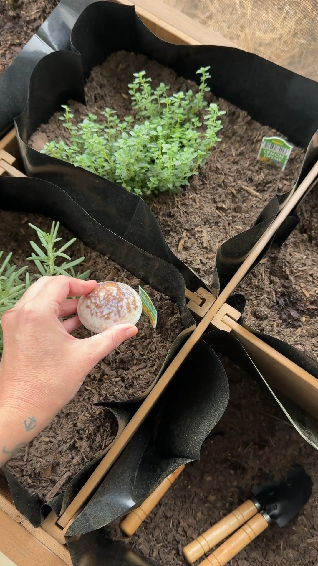 Little garden mushrooms 

#LTKdayinmylife #LTKSaleAlert #LTKHome