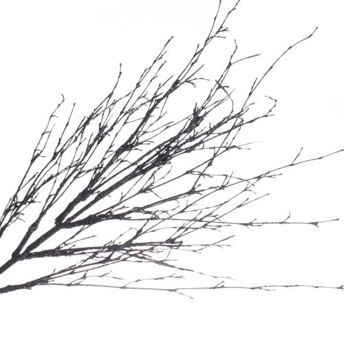 Factory Direct Craft Pair of Black Glittered Twig Sprays for Centerpieces, Arranging and Designin... | Amazon (US)