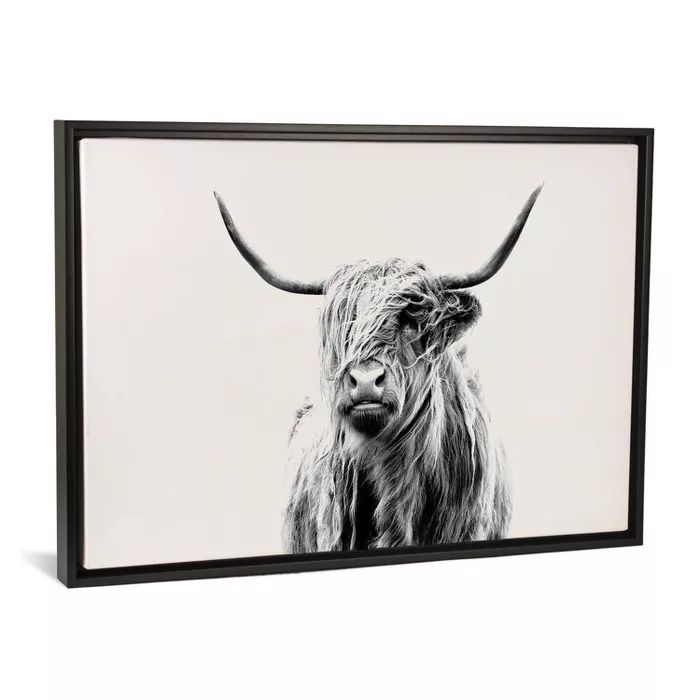Portrait of A Highland Cow by Dorit Fuhg Framed Canvas Print Black - iCanvas | Target