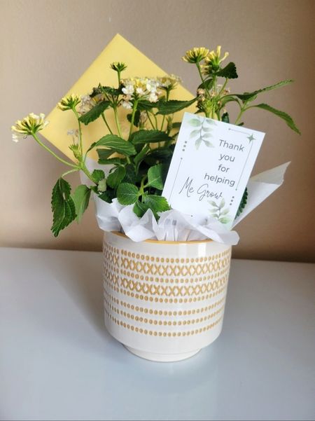 Last day of school gift idea for teacher - I made this for my baby's teacher last year! I got the pot from Michael's, the flower from Lowe's, a card / gift card, & I made the thank you note (printed it & attached it to a stick) She loved it so I will probably do the same for my baby's teacher this year 🥹 I wrote a note / put a gift card inside as a thank you bc I appreciated all she did for my baby 💛 I didn't link any gift cards bc it shows there's a fee not sure if that's just bc it's online? I'll share this year's soon so stay tuned 🤪 Remember you can always get a price drop notification if you heart a post/save a product 🧡 

✨️ P.S. if you follow, like, share, save, subscribe, or shop my post (either here or @coffee&clearance).. thank you sooo much, I appreciate you! As always thanks sooo much for being here & shopping with me friend 🥹

| Patio furniture, patio decor, gifts for teachers, teacher gifts, gift ideas, gifts for, appreciation gifts, al fresca dining, sisterstudio, kathleen post, madewell, susiewright, graduation dress, travel outfit, meredith hudkins, wedding guest dress summer, country concert outfit, sisterstudio, summer outfits, travel outfit, summer outfits, sisterstudio, spring haul, summer dresses 2024, floor lamp, table lamp, lamps for table, living room lamp, 2024 trends, 2024 summer | 

#LTKxelfCosmetics #LTKGiftGuide #LTKFestival #LTKSeasonal #LTKActive #LTKVideo #LTKU #LTKover40 #LTKhome #LTKsalealert #LTKmidsize #LTKparties #LTKfindsunder50 #LTKfindsunder100 #LTKstyletip #LTKbeauty #LTKfitness #LTKplussize #LTKworkwear #ltkunder100 #LTKswim #LTKtravel #LTKshoecrush #LTKitbag #LTKbaby#LTKbump #LTKkids #LTKfamily #LTKmens #LTKwedding #LTKbrasil #LTKaustralia #LTKAsia #LTKbaby #LTKbump #LTKfit #ltkunder50 #LTKeurope #liketkit @liketoknow.it https://liketk.it/4Hfzw