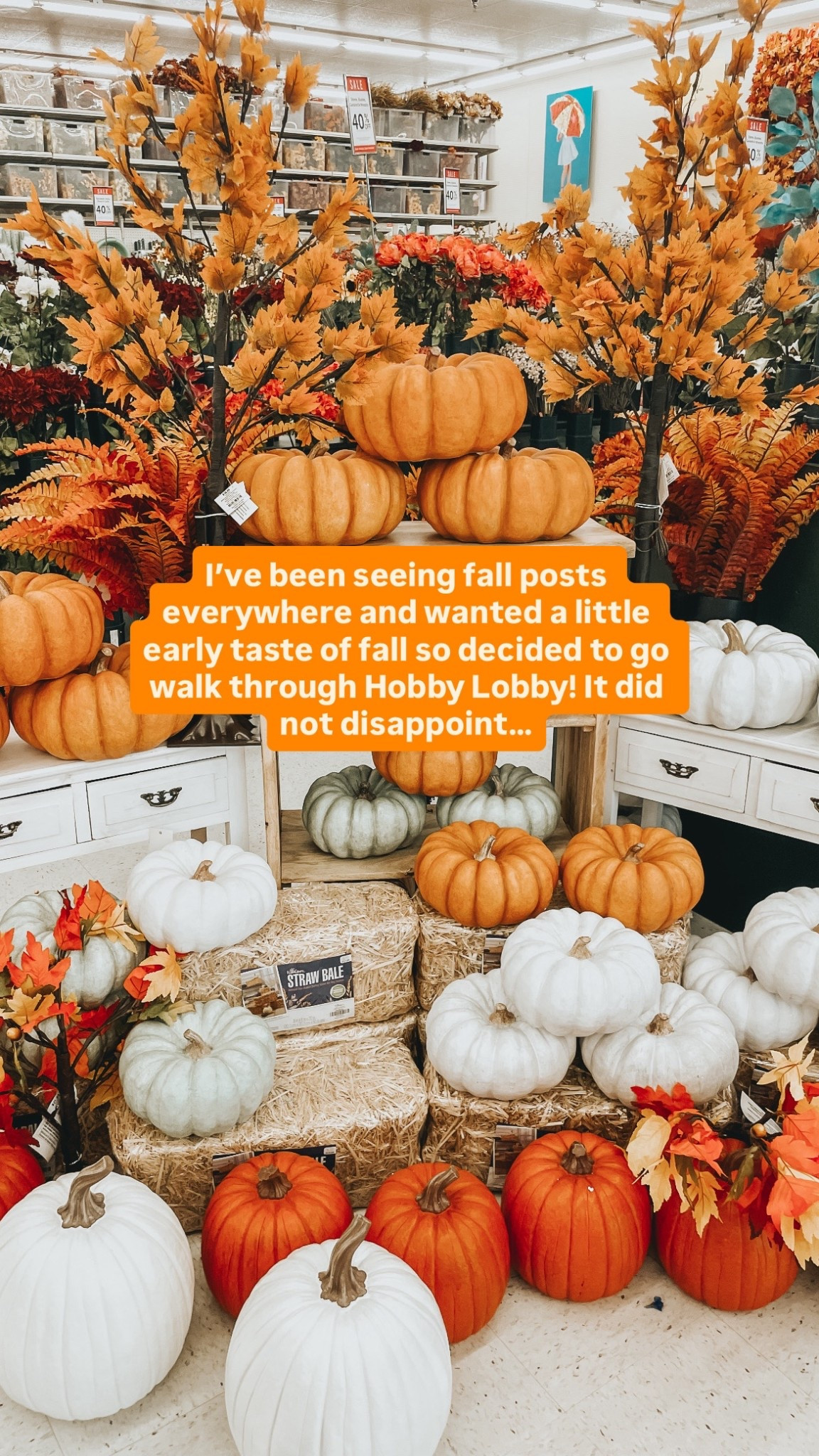 Fall vibes 🤎🍂

#LTKSeasonal #LTKSaleAlert #LTKautumn