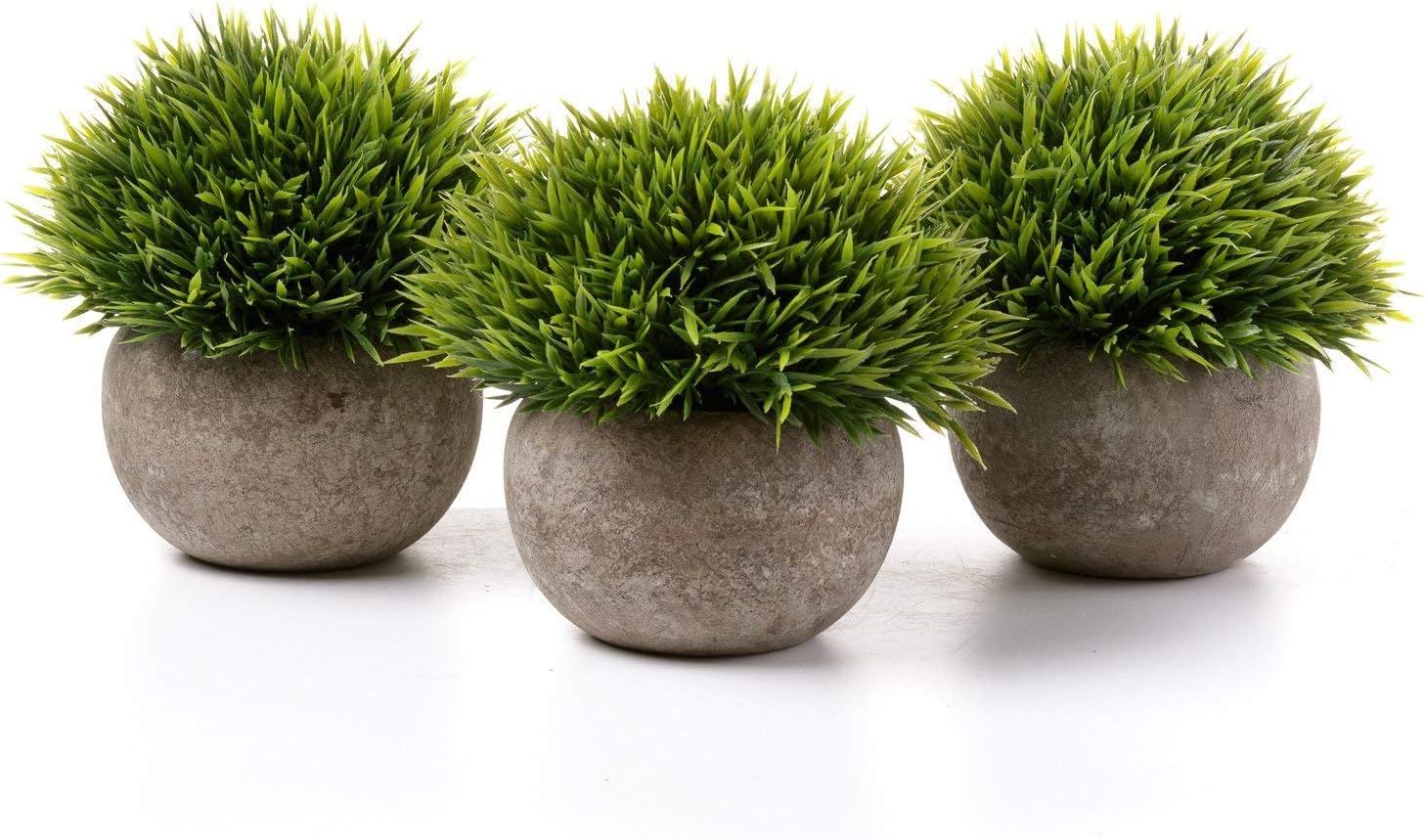 T4U 5 Inch Fake Artificial Potted Grass Plants, Pack of 3 Faux Plants with Pulp Pots, Plastic Flo... | Amazon (CA)