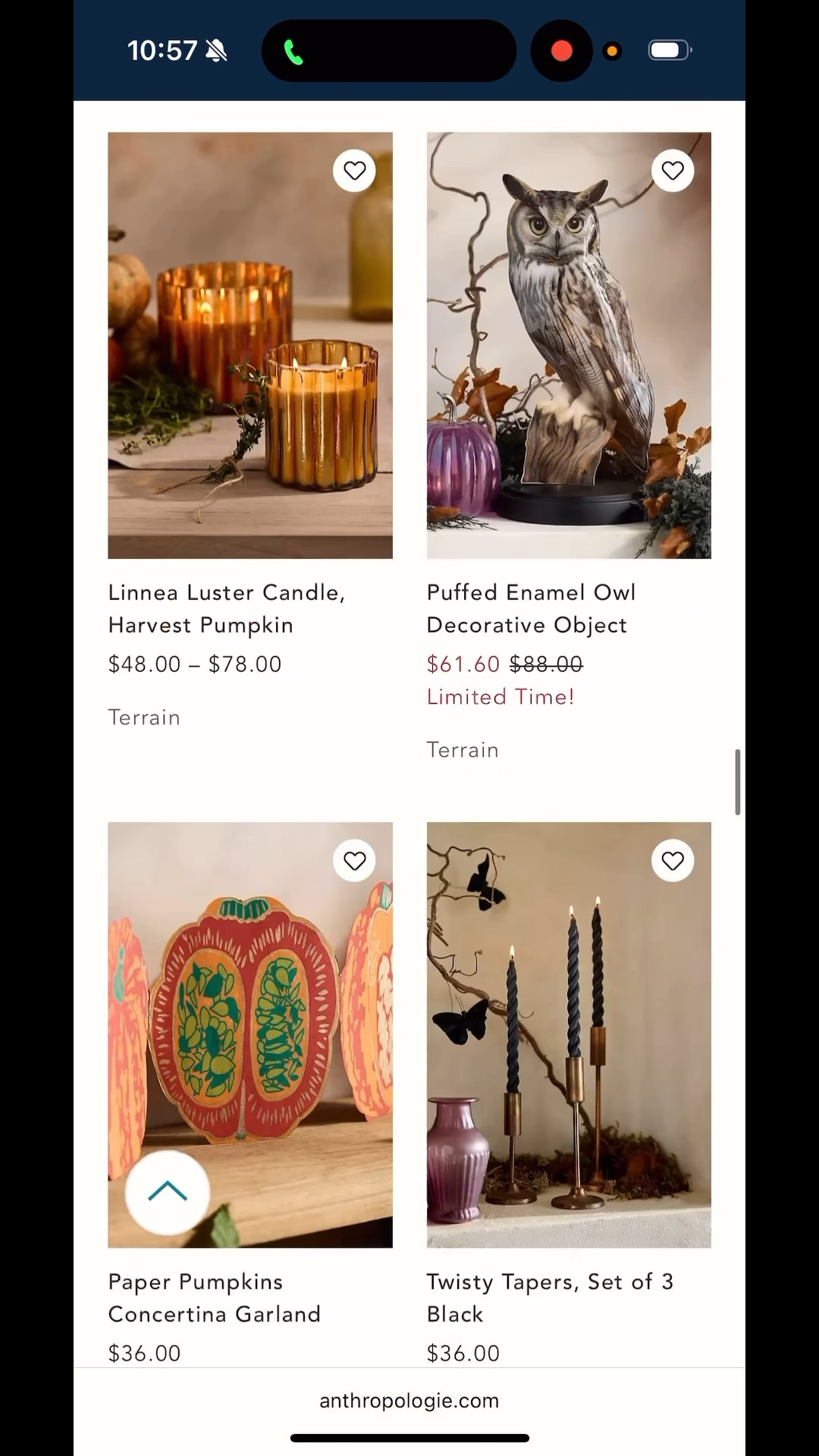 Anthropology Falloween Sale!! Everything is SO cute! 

#LTKSeasonal #LTKHalloween #LTKFallSale