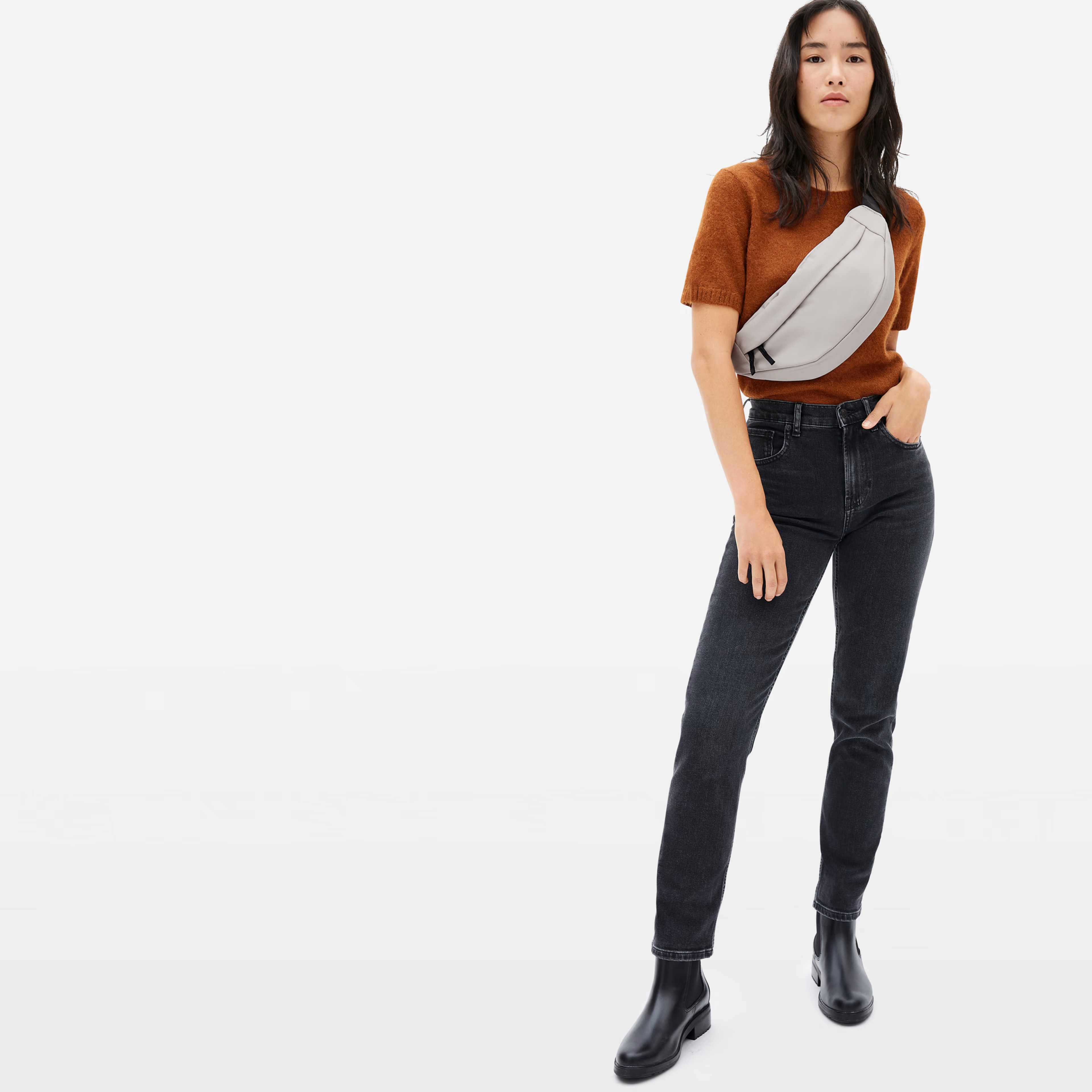 The Renew Transit Fanny Pack | Everlane