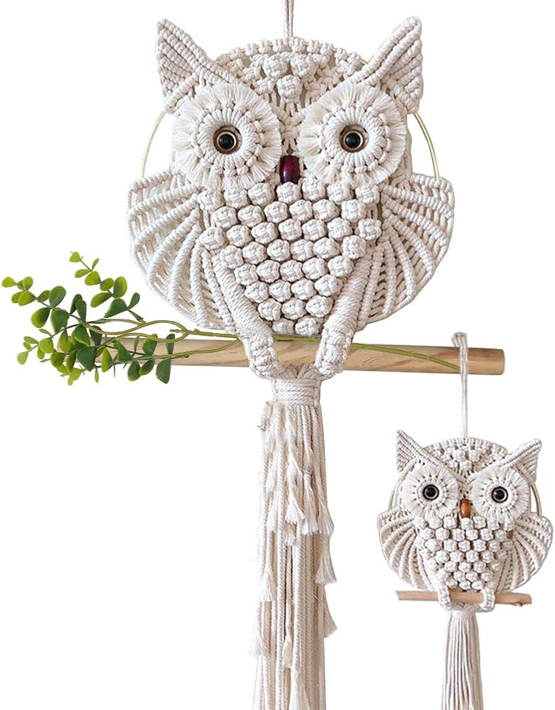 AOMGD 2 Pcs Owl Macrame Wall Hanging Tapestry Art Decor Handmade Woven Boho Ornament Wall Hanger ... | Amazon (US)