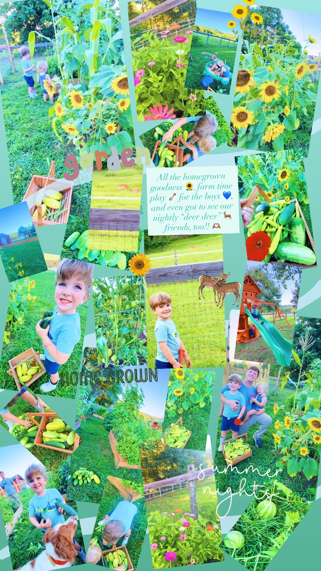 All the homegrown goodness 🌻, farm time play 🪏 for the boys 💙, and even got to see our nightly “deer deer” 🦌 friends, too!! 🫶🏽
