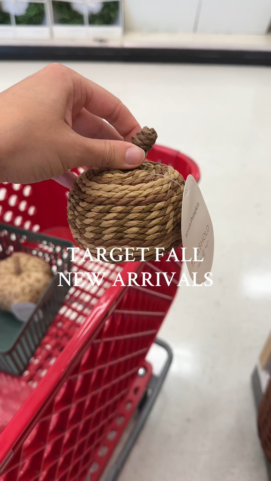 All the new fall arrivals getting me so excited for fall!!! And to decorate our house for the first time with all the fall things!! 🍂🎃

#LTKFindsUnder50 #LTKHome #LTKSeasonal