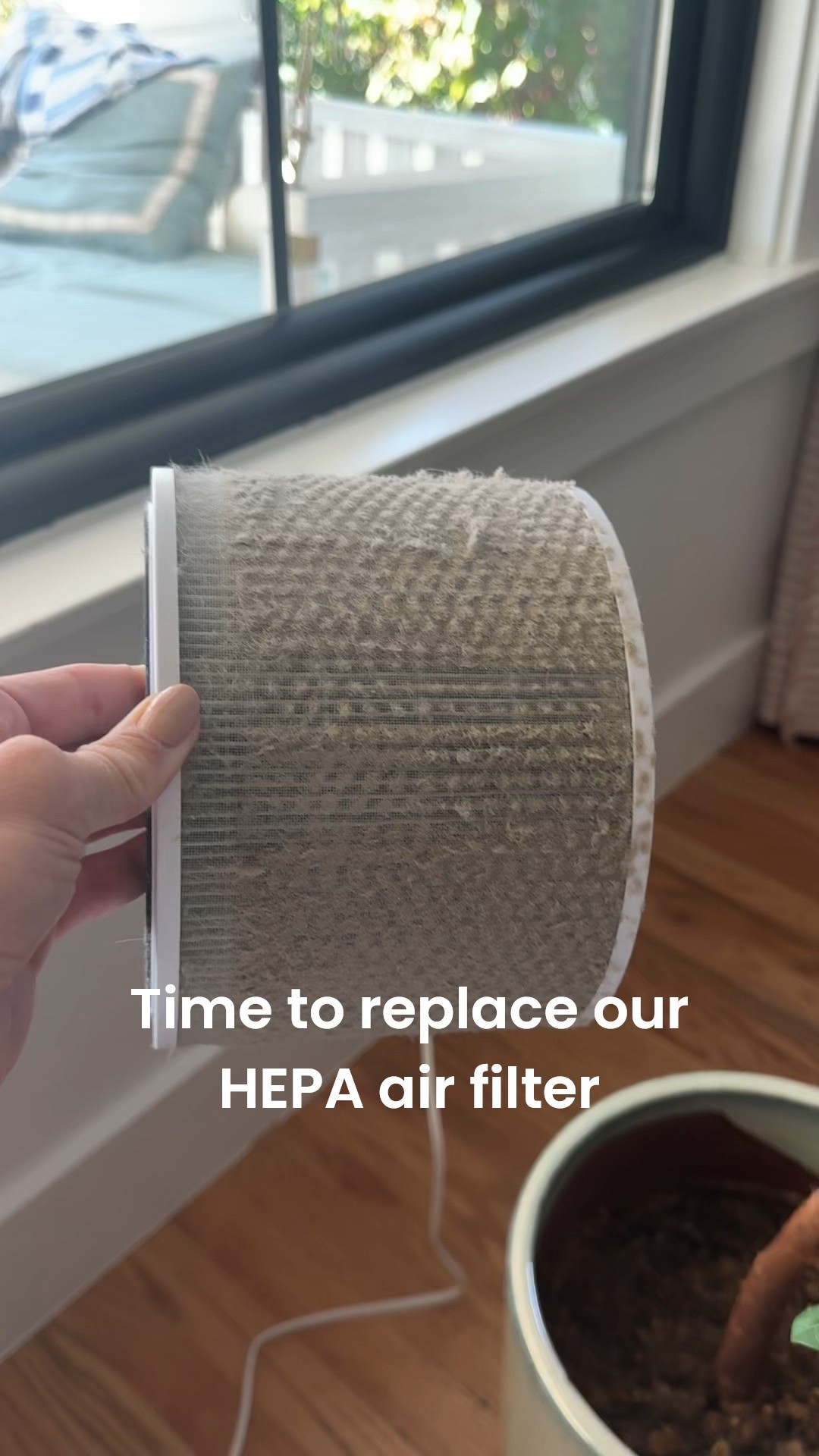 Since our mold remediation and our recent air conditioning troubles, we’ve placed HEPA air purifier’s in every room, and I’m always ASTOUNDED by how much gunk it collects. I don’t know how we didn’t have these before 

#LTKHome