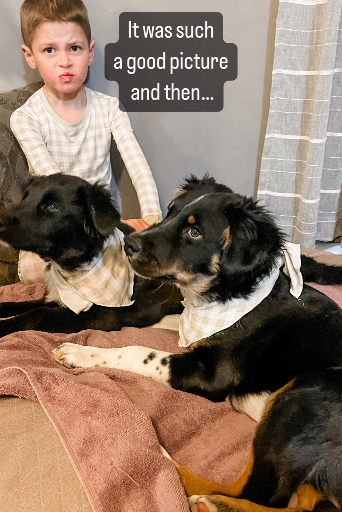 Everyone loves their bamboo jammies!

style | outfit of the day | ootd | outfit inspo | fashion | affordable fashion | affordable style | style on a budget | basics | joggers | jeans | leggings | comfy | oversized sweater | booties | boots | knee high boots | sneakers | outfit ideas | midsize | curvy | midsize style | midsize fashion | curvy fashion | curvy style | target | target finds | walmart | walmart finds | amazon | found it on amazon | amazon finds | amazon unboxing | causal style | comfy style | everyday outfit | everyday style

baby | toddler | kids | toddler clothing | toddler outfit | pajamas | jammies | newborn | baby gift | baby gear | baby toys | toddler toys | kids clothing | baby boy | baby girl | pink | blue | carters | old navy | baby essentials | target | target finds | walmart | walmart finds | amazon | found it on amazon | amazon finds

#LTKhome #LTKkids #LTKfamily