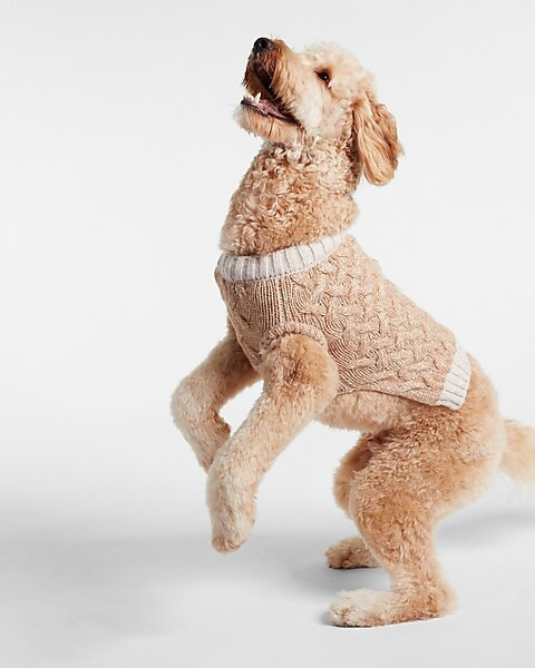Cable Knit Dog Sweater | Express