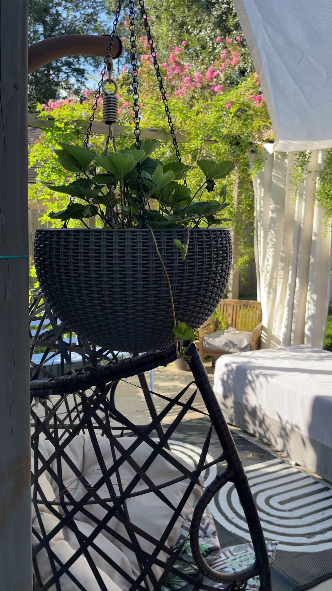 Outdoor Hanging planter basket that actually hold up to sunny days and Texas heat. I’m using these hanging baskets for my strawberries. 

#LTKHome #LTKFindsUnder50
