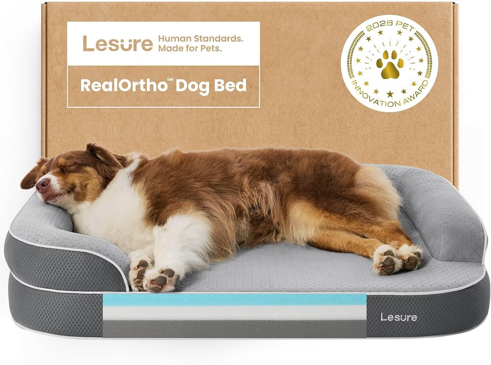 Premium Memory Foam Orthopedic Bed for Senior Joint Support with Waterproof Washable Cover, Comfo... | Amazon (US)