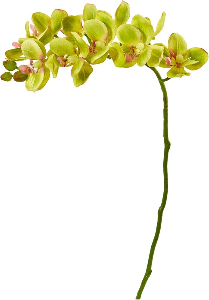 Nearly Natural 21” Phalaenopsis Orchid Artificial (Set of 6) Silk Flowers, Green | Amazon (US)