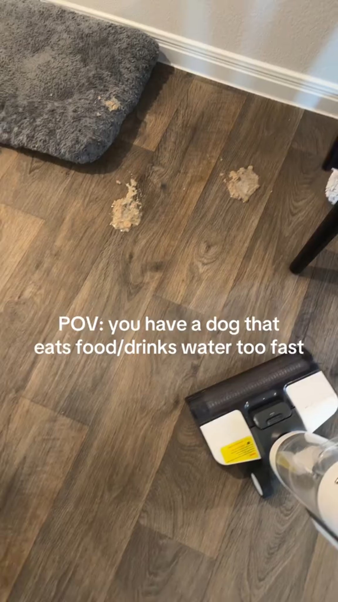 The floor cleaning tool that will cleanup any mess in seconds!

#LTKHome #LTKSaleAlert #LTKPets