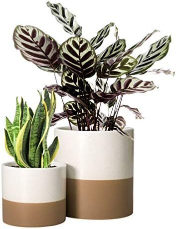 Set of 2 Plant Pots, 4 Inch & 6 Inch, Ceramic Planter Pots with Drainage Hole (Speckled White/Tan... | Amazon (US)
