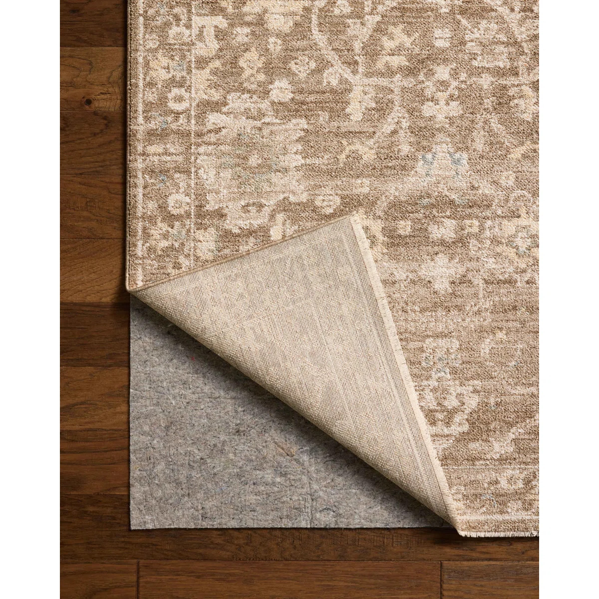 Chris Loves Julia x Loloi Palma Brown / Earth Area Rug | Wayfair North America
