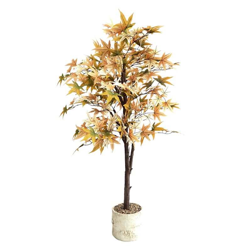 Maple Tree in Pot, 48" | At Home