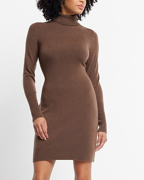 Supersoft Turtleneck Long Sleeve Mini Sweater Dress | Express