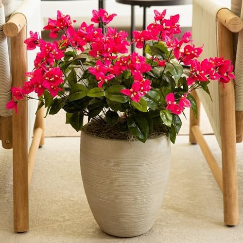 Nearly Natural 19in. UV Resistant Artificial Bougainvillea Bush (Indoor/Outdoor) - Set of 4 | Amazon (US)