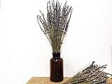 Aimgo 200 sticks dried lavender, natural lavender flowers, relieve stress and help sleep, photo tool | Amazon (US)