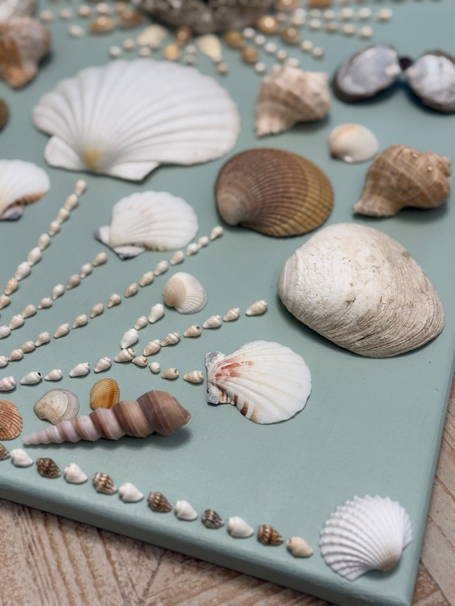 New Art Coming Soon! 🐚🐚🐚

#LTKSummerEdit #LTKGiftGuide #LTKHome