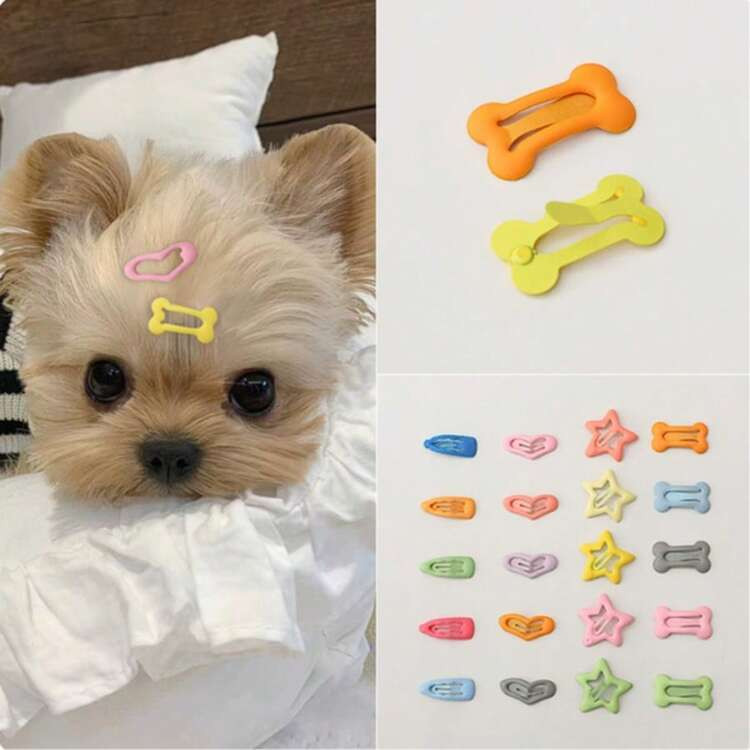 Assorted Color Mini Bone Shaped Hair Clips For Long Haired Dogs, Cute Polka Dot Candy Color Dog Hair Clips, Cat Hair Accessories, Pet Hair Decoration Set, Random Color Bone Pattern | SHEIN