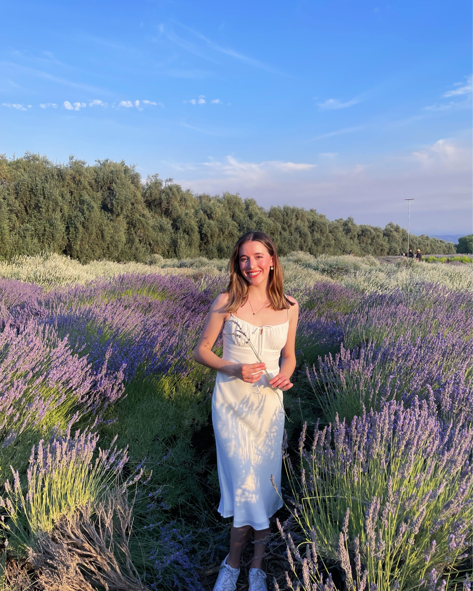 aritzia wilfred bellow midi dress

#LTKStyleTip #LTKHoliday