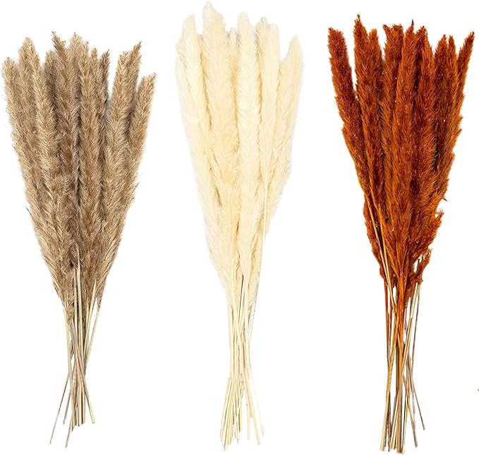 50 Naturally Dried Tall Fluffy Pampas Grass | Real Flowers | 50 cm | White | Natural | Coffee | H... | Amazon (US)