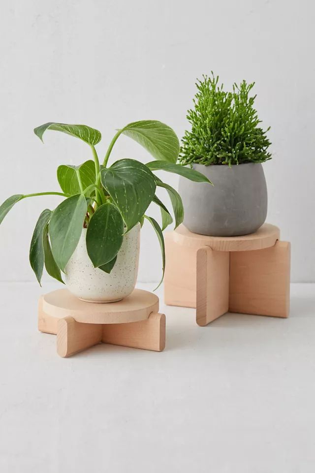 Areaware Plant Pedestal Set | Urban Outfitters (US and RoW)