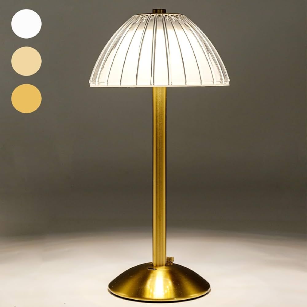 HEQET Cordless Table Lamps Rechargeable Lamps for Home, USB Charge Gold 12'' Tall LED Brass Porta... | Amazon (US)