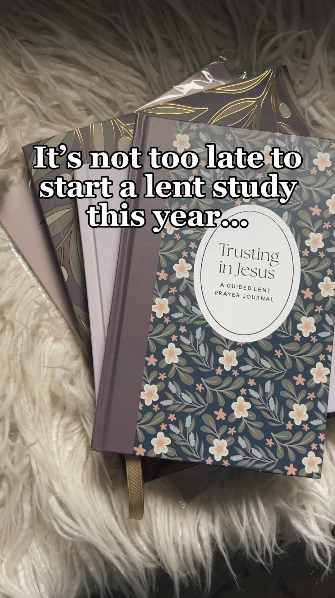 Lent Bible study bundle from the Daily Grace Co  

#LTKWatchNow #LTKSaleAlert #LTKFindsUnder100