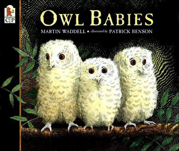 Owl Babies | Barnes & Noble