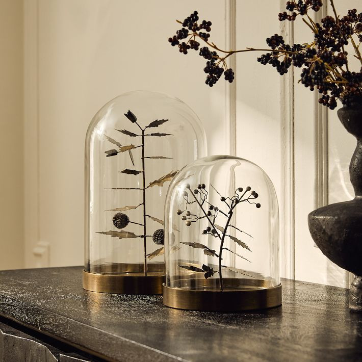 Halloween Botanical Cloches | West Elm (US)