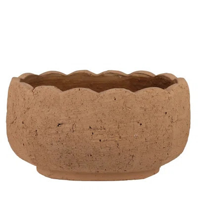Sophia Scalloped Planter, Terra Cotta Cement | Wayfair North America