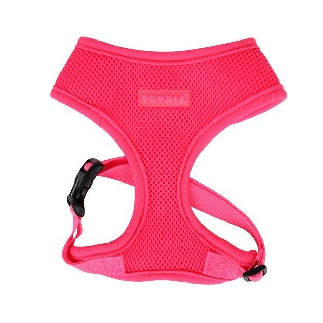 PUPPIA Neon Soft Dog Harness, Pink, Medium - Chewy.com | Chewy.com